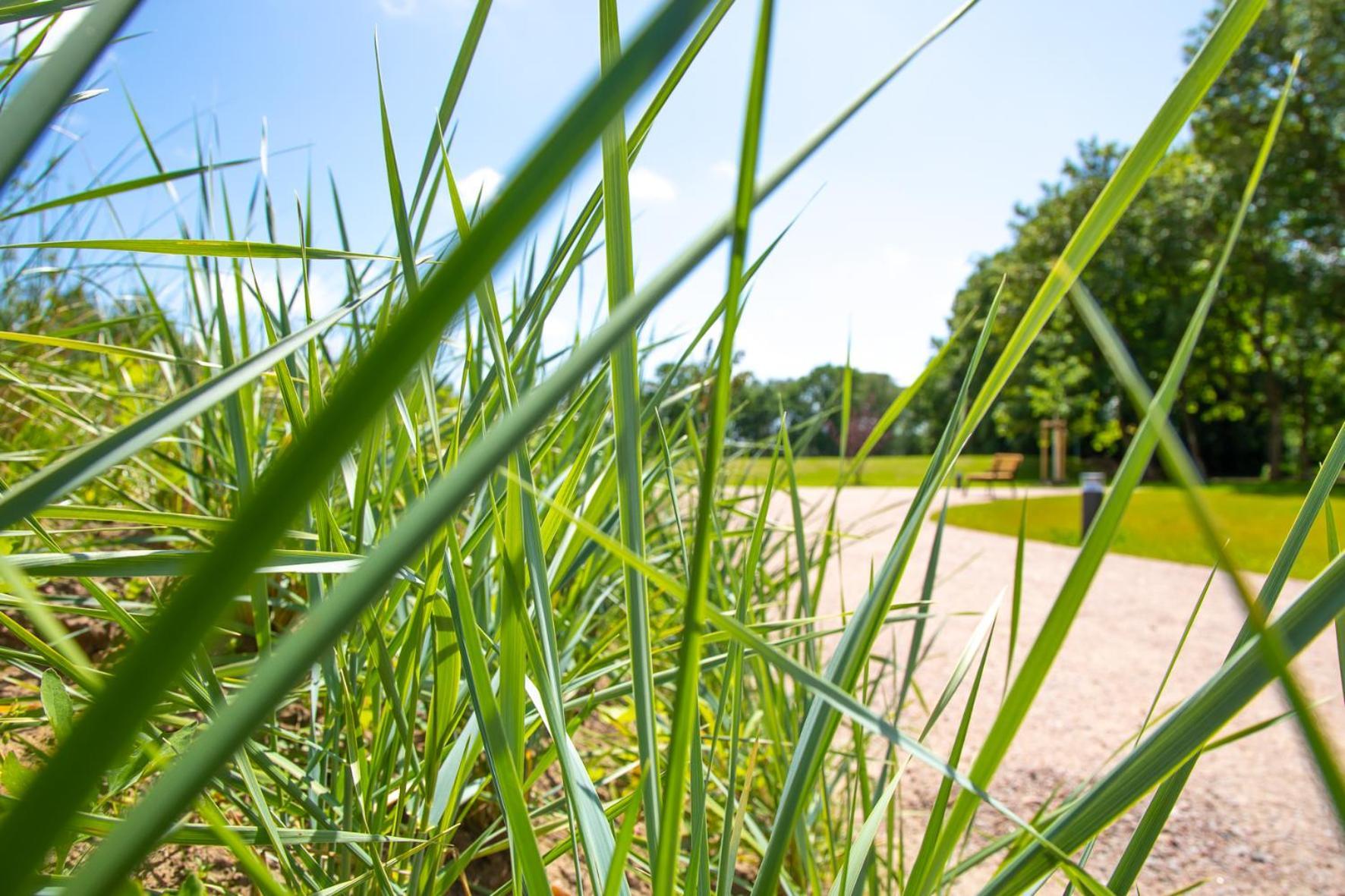 Wohnen Am Suedstrand - Ferienwohnung 0 3 Wyk auf Fohr Bagian luar foto
