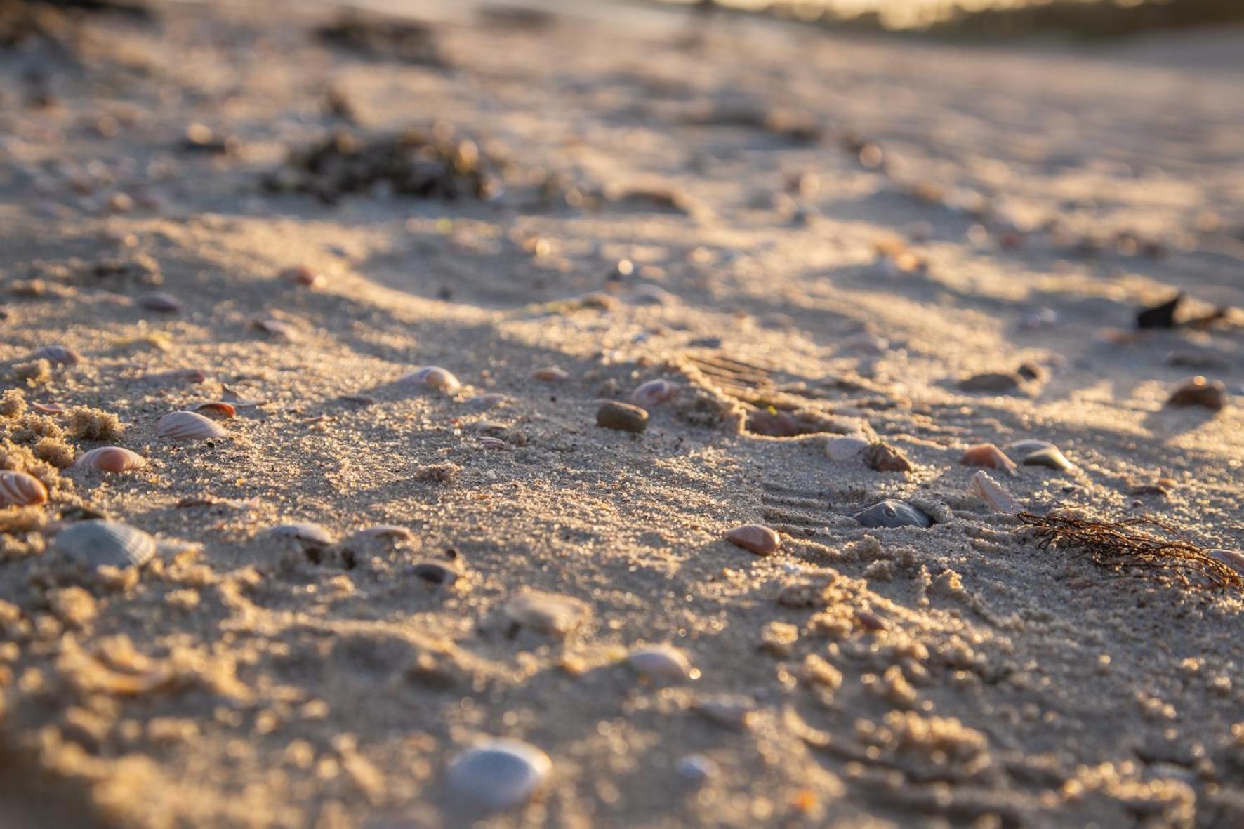 Wohnen Am Suedstrand - Ferienwohnung 0 3 Wyk auf Fohr Bagian luar foto